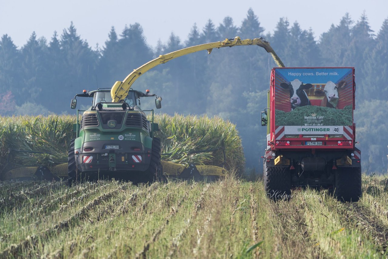 Bild 155 - Maisernte